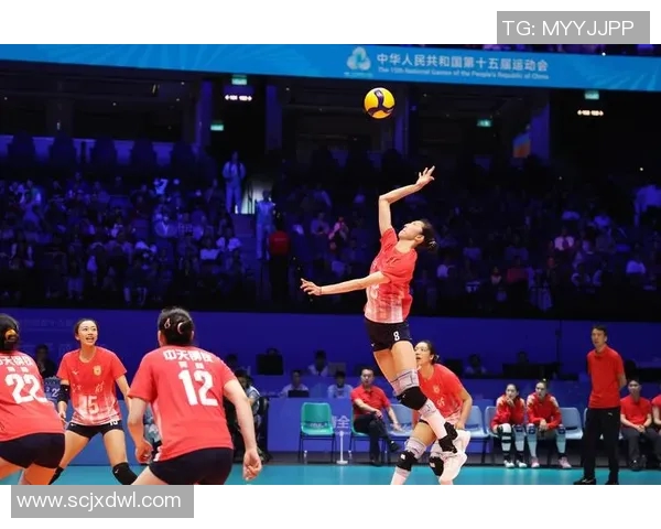 深圳排球队以75分稳居冠军赛积分榜首位竞争激烈引人关注